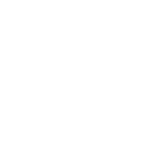 DMS-LOGO-WHITE